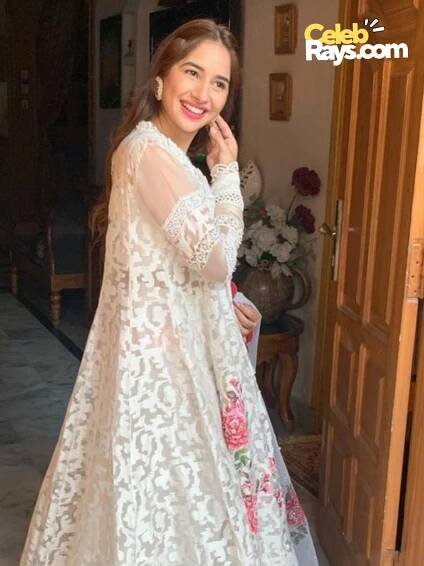 Sabeena Farooq controversy