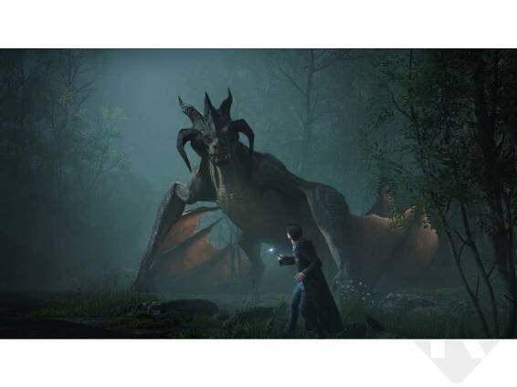 Hogwarts Legacy (PS4) | Kuma.cz