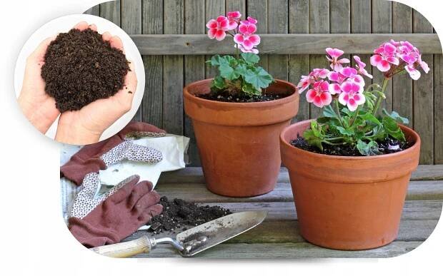 Substrát Bouře květů Osmocote + Země pro balkonové pelargonie Surfinii za 259.00CZK - Allegro