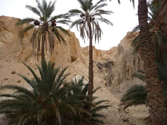 DAR EL KEBIR, Hôtel particulier, maison de Prestige, Djerba Tunisie à vendre. - Descriptif Dar El Kébir