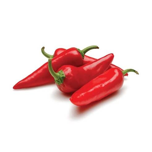 Chilli papričky (Acapulco sp.) - Bylinky