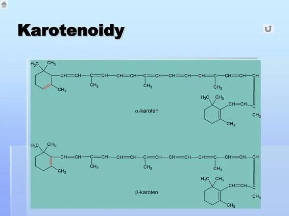 PPT - Metabolismus sacharidů PowerPoint Presentation, free download - ID:3734640
