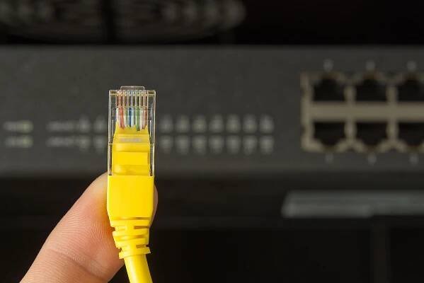 Close-up of ethernet cable connector plugged into network switch.