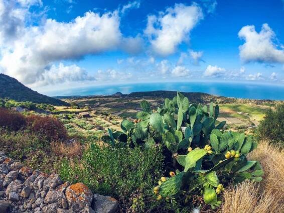 Pantelleria: a symphony of luxury and tradition | Absolute Sicilia