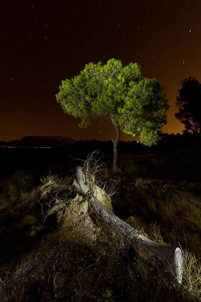 Antonio Esteve