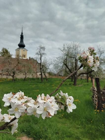 10. 6. 2022 – Kavárna na Besedě – Noc Kostelů Moravičany – Moravičanské okrašlovací spolek