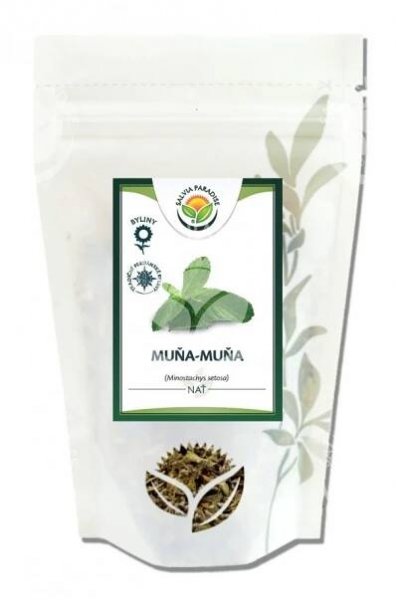 Salvia Paradise Muňa Muňa 50g – přírodní péče o zdraví, krásu a vitalitu za 129 Kč