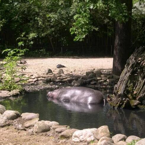 Zájezd ZOO Opole 15.6.2019 9