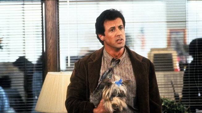 Remember When Sylvester Stallone Tried to Be a Comedy Star?