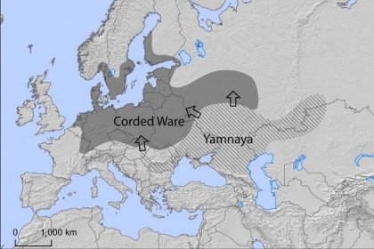 Ilustrace: Studie Population genomics of Bronze Age Eurasia.