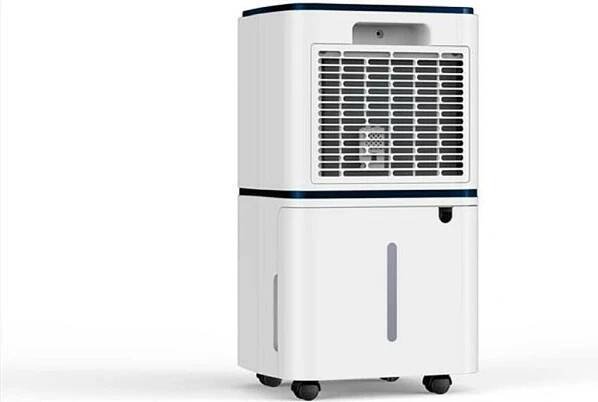 Argo 492000095 DRY PURY EVO 11
