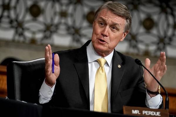 Georgia Republican senator willfully mispronounces Kamala Harris’ name at Trump rally