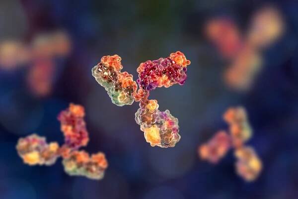 SARS-CoV-2: different immune responses observed in nasal mucosa and blood