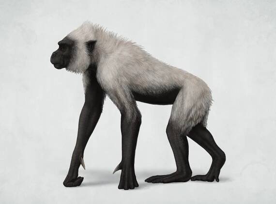 claw_monkey_by_ramul_ddl50wm