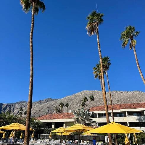 HILTON PALM SPRINGS - Updated 2025 Prices & Resort Reviews (CA)