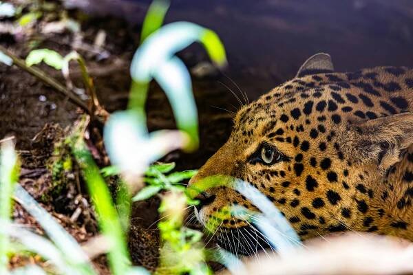 100 000+ nejlepších fotografií na téma Jižní Sikkim · 100% bezplatné stažení · Základové fotografie Pexels