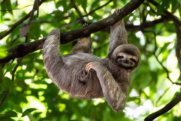 Pueblo Colorado Jungle Paradise in Peru Photo Gallery