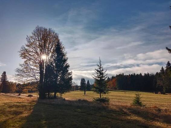 Príroda v okolí apartmánu
