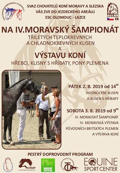 IV. Moravský šampionát tříletých teplokrevných a chladnokrevných klisen a výstava koní Olomouc-Lazce | Olomoucký kraj
