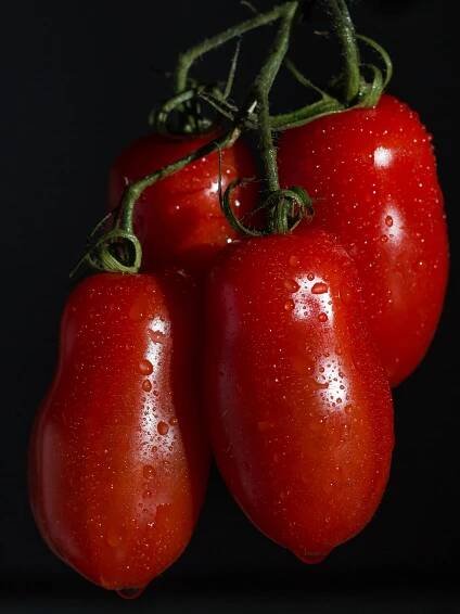 Rajče San Marzano