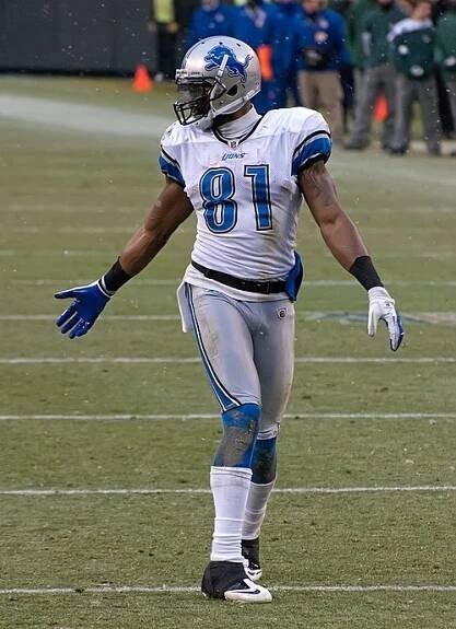 2007 NFL draft - Wikipedia