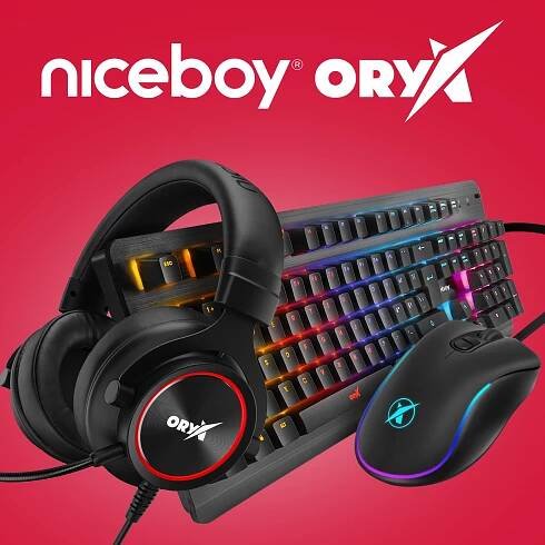 Niceboy - IT'S YOUR DAY!
