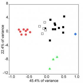 Soubor:Correspondence Analysis of Y-chromosomal variation in the Czech Republic Am J Phys Anthropol 2007.png