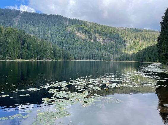 Javorské jezero