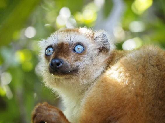 How Zoos Support Wildlife Conservation