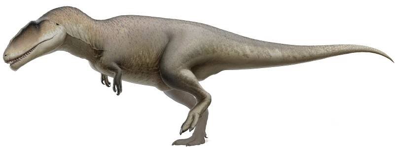 Soubor:Carcharodontosaurus.png – Wikipedie