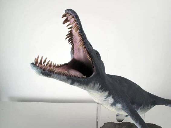 Pliosaurus • Dinosaurs - Pictures and Facts