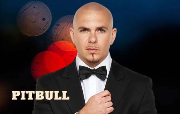 What is Pitbull Net Worth? Including Bio, Age, Family, Relationships