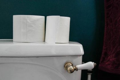 Softest Toilet Paper Will Be More Expensive With Ban on Russian Wood