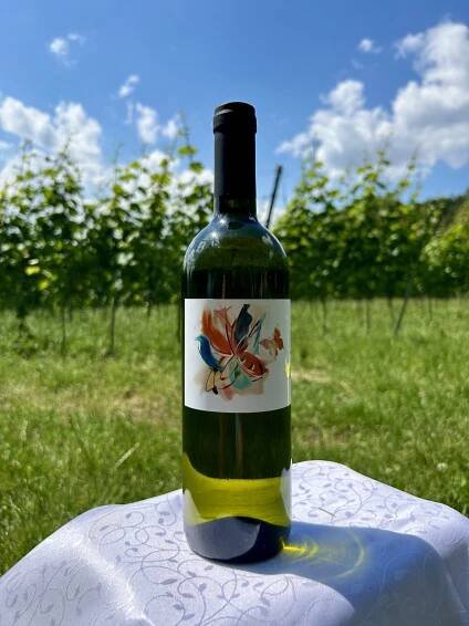 Sauvignon 2023 - suché