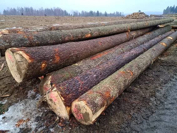 ForesTrade: Prodejní jednotka číslo 72023 - 043