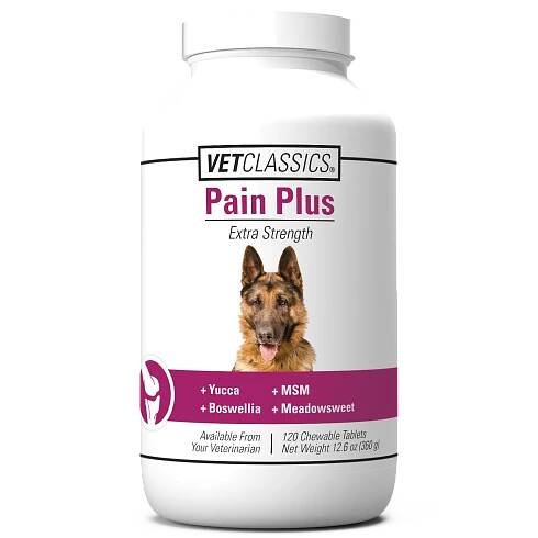 Pain Plus T 120ct VC 19082 web