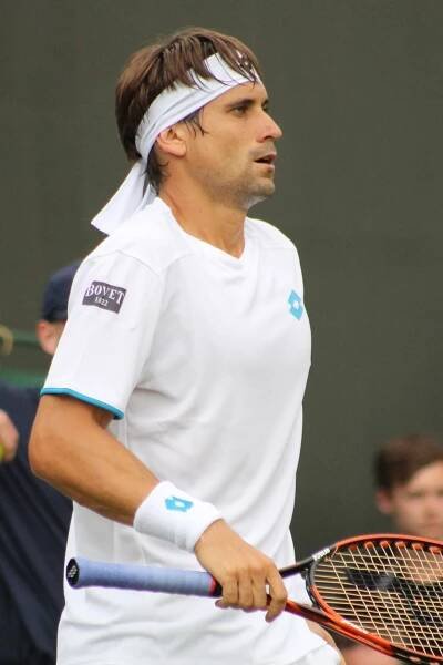 David Ferrer