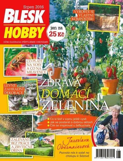 Časopis Blesk Hobby - 8/2016