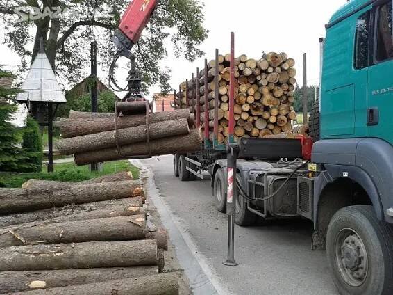 Palivové dřevo