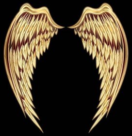 Dekorativní zlatá křídla — Ilustrace