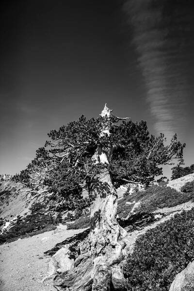 Mount Baldy – James Arthur Foto | Fine Art & Fashion Photography