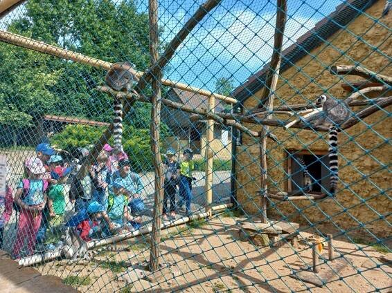 Výlet ZOO Vyškov - KMŠ Karolínka