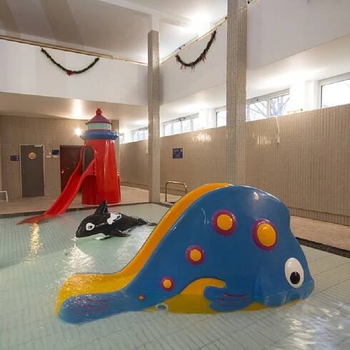 Budapešť: Palatinus Spa & Pools Celodenní vstupné | GetYourGuide
