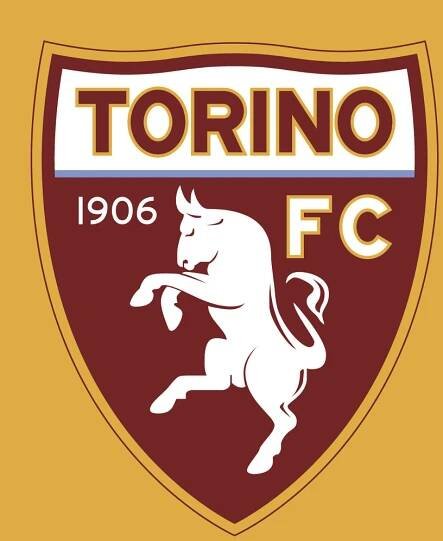 # Torino FC - Hashtagesport