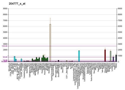 MAL (gene) - Wikipedia