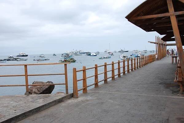 Galapagos, San Cristóbal, Galapagos, South Plaza Island, Galapagos Islands © All rights reserved resorochaventyr.se