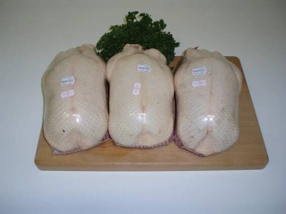 Barbera chlazená - Francie kus 2,6 - 3,1 kg - Řeznictví Brabec