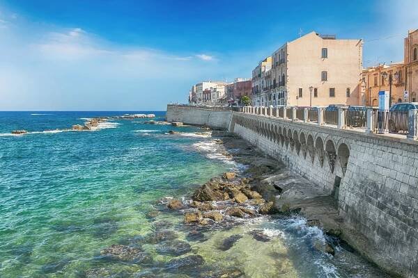 Olive Trees Planted in Syracuse, Sicily as a Memorial and Celebrations