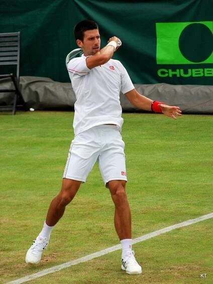 Soubor:Novak Djokovic (8586261978).jpg – Wikipedie
