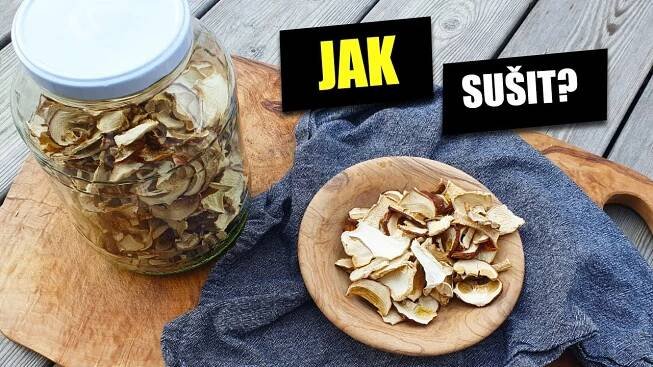 Jak správně sušit houby v sušičce? Krok za krokem.